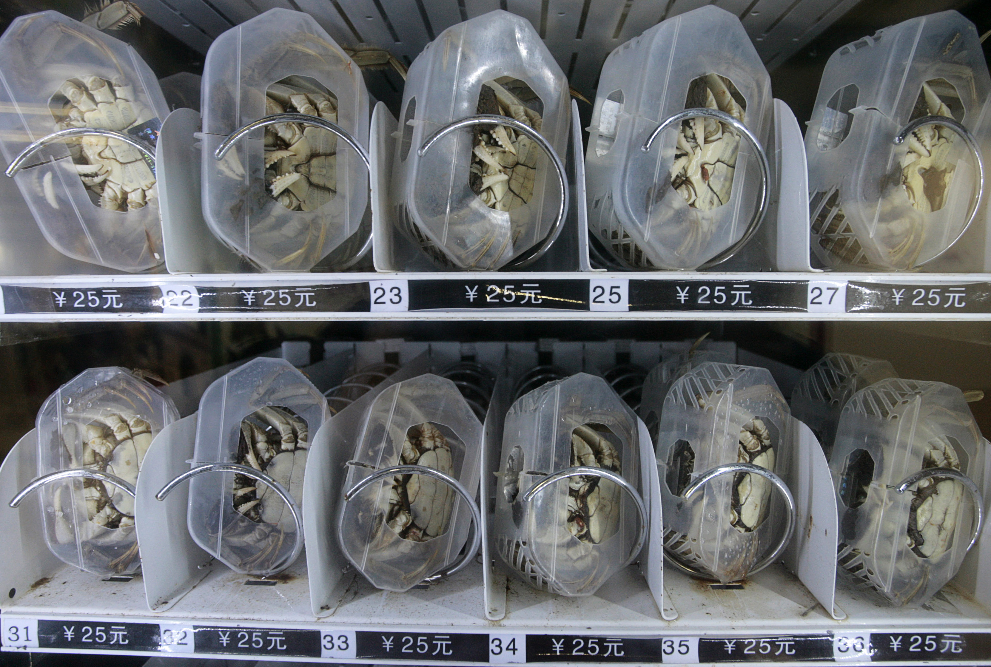 Crab vending machine