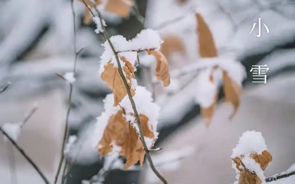 Drobny śnieg – co należy wiedzieć