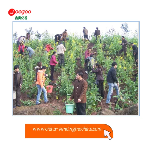 Dział Eksportu Firmy Jeogoo zorganizował wolontariat na Festiwal Roślinny